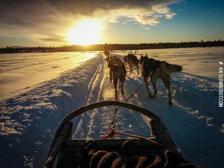 Husky+ride+through+Lapland
