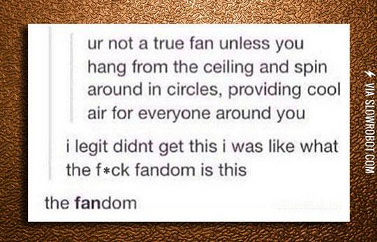 How+To+Become+A+True+Fan