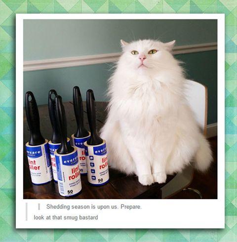 Better+be+prepared+for+the+season