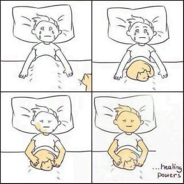 Instant+antidepressant