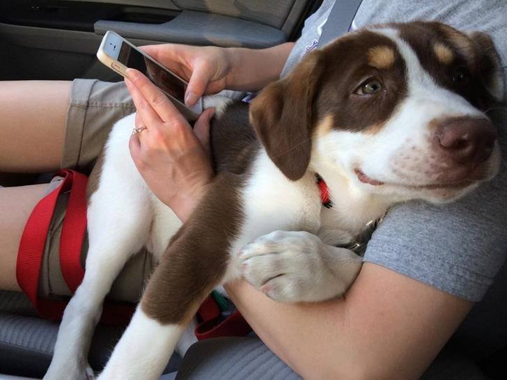 The+sweetest+smile+ever%26%238230%3B