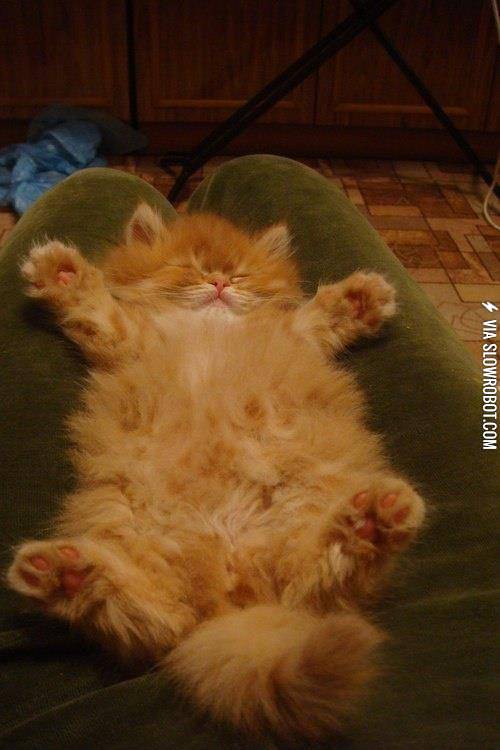 Looks+like+she+fell+asleep+waiting+for+a+hug%26%238230%3B