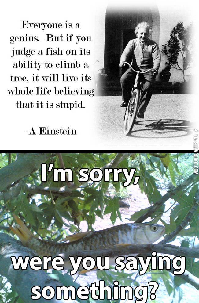 Were+you+saying+something%3F