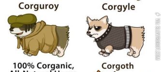 The+many+breeds+of+Corgis.