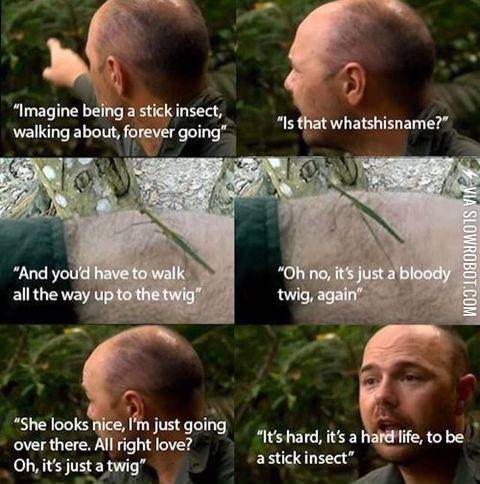 Insects+have+it+hard+man