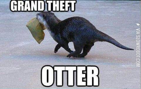 Grand+theft+otter
