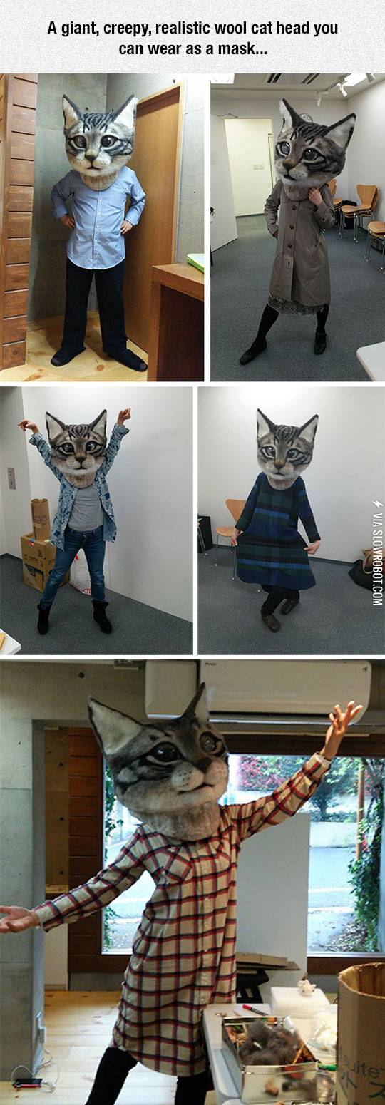 How+To+Confuse+And+Terrify+Your+Cat%3A+Buy+This