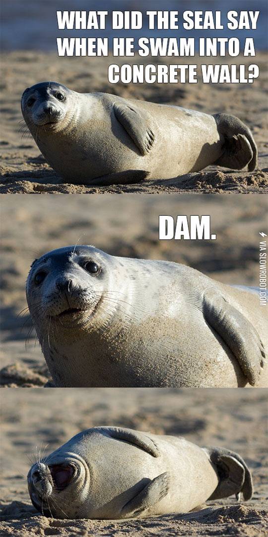 This+Seal+Has+A+Joke+For+You