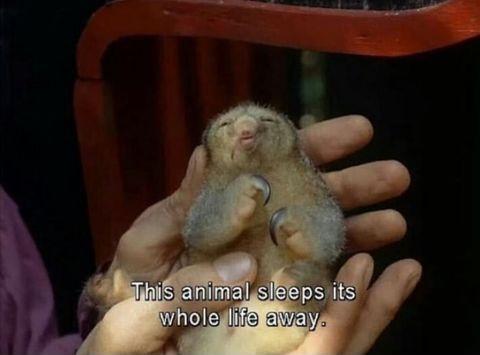 My+mother+introducing+me+to+people