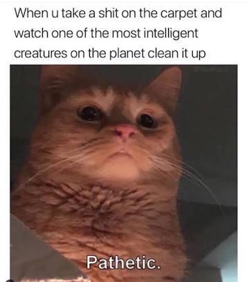 Underlying+overlords