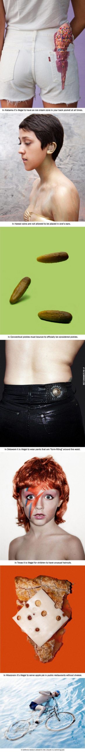 States+and+strange+laws.