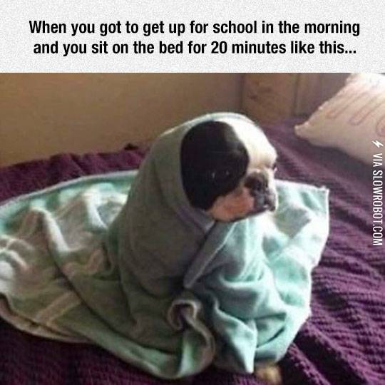 Getting+Up+Early+In+The+Morning