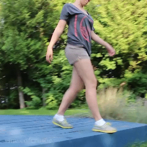 Gimme+a+dogtor%2C+stat%21