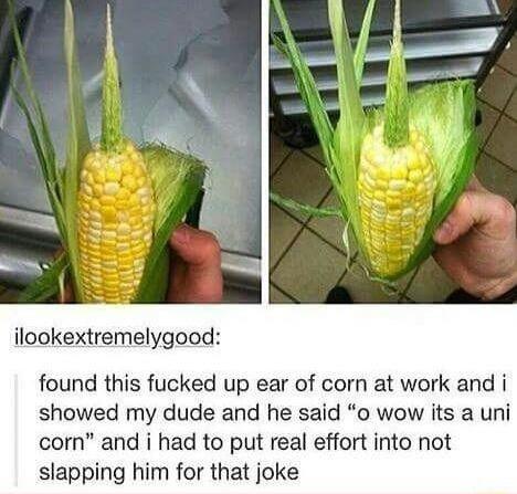 What+type+of+corn+is+this%3F