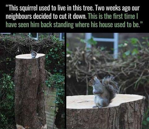 I+feel+sorry+for+the+little+guy