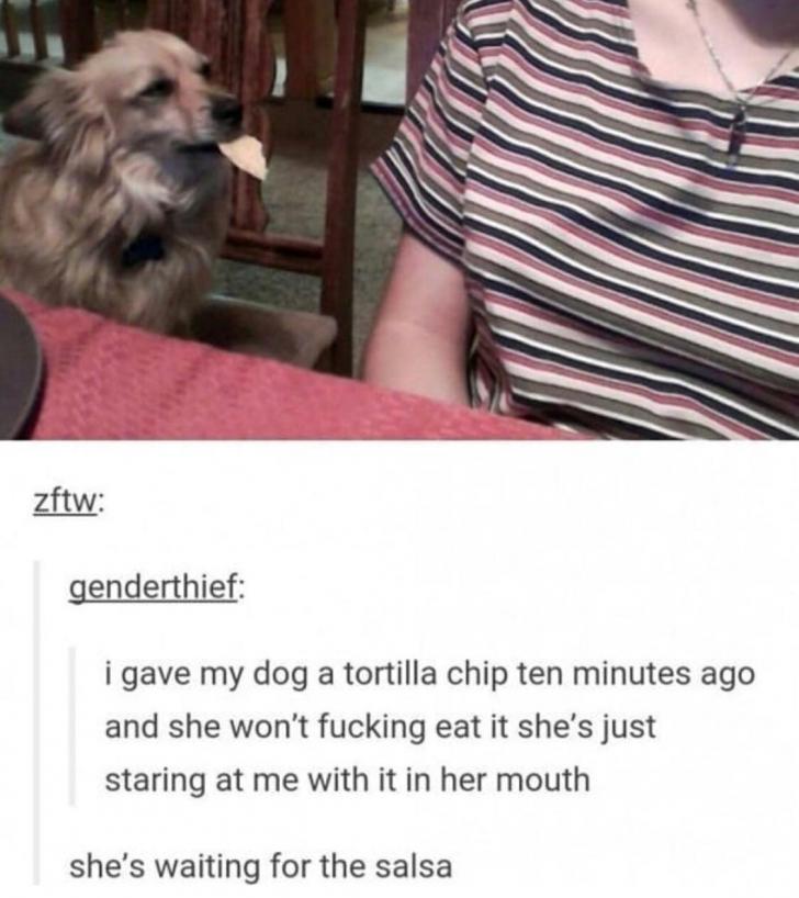 New+Tortilla+Challenge%3F