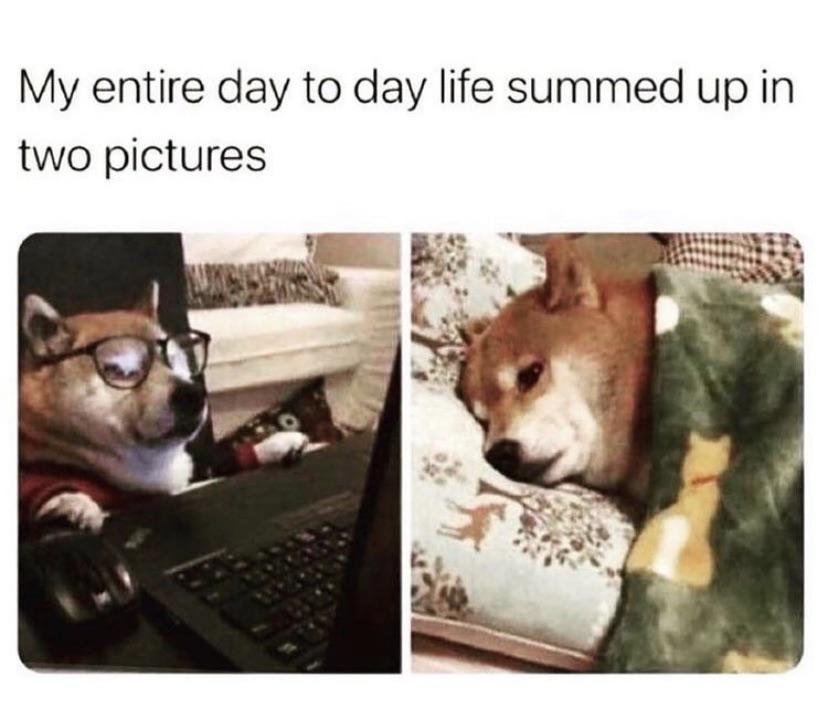 Work+and+work+and+Bork.