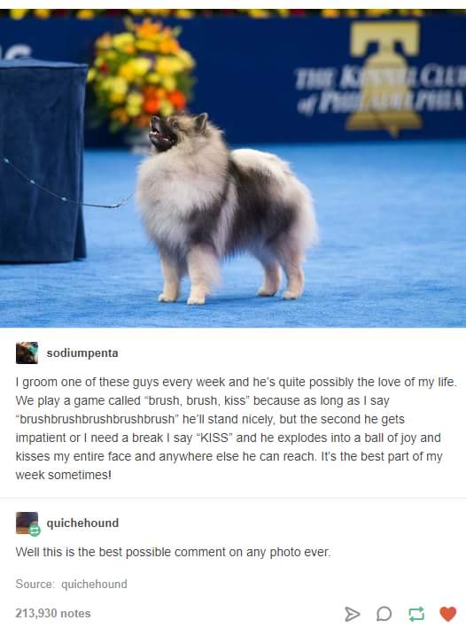 brush%2C+brush%2C+kiss