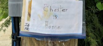 Chester+has+returned%21