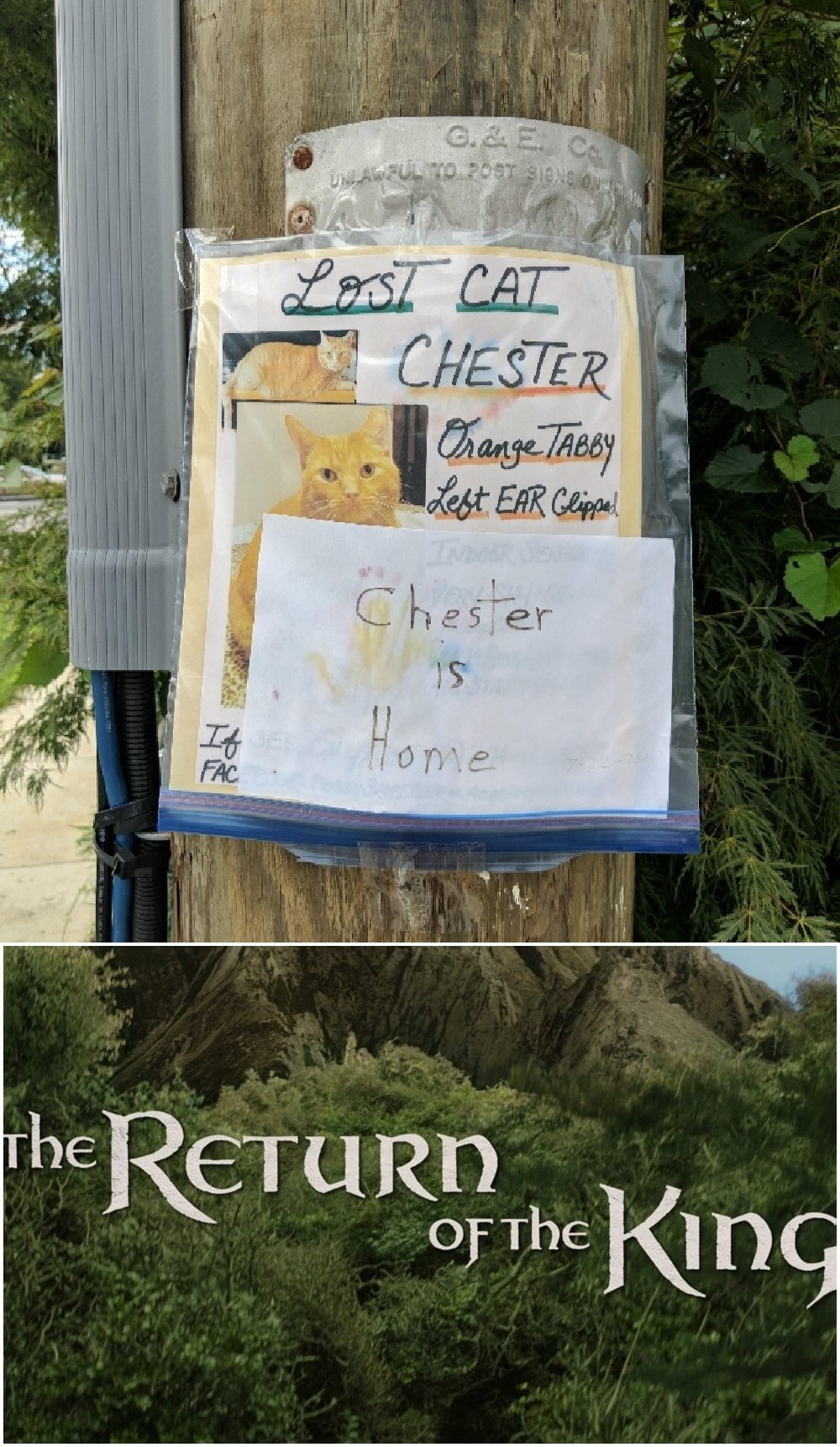 Chester+has+returned%21