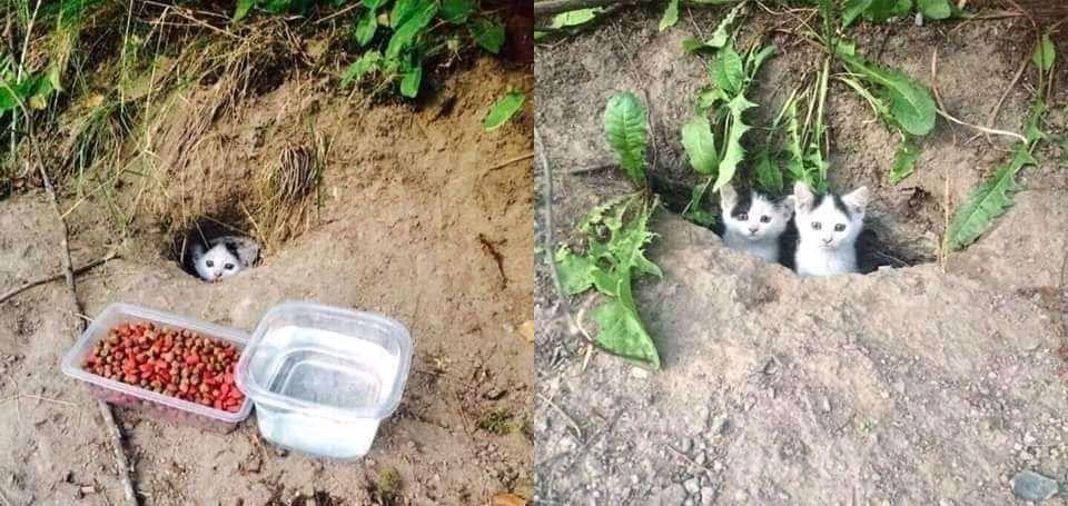 she+brought+a+friend+the+next+day