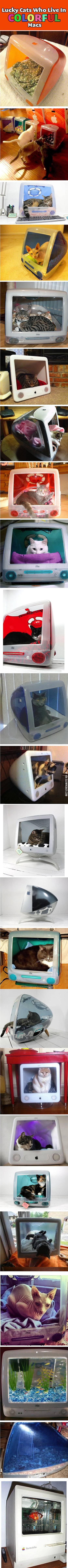 Give+that+old+Mac+new+purpose.