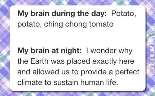 My+Brain%26%238230%3B