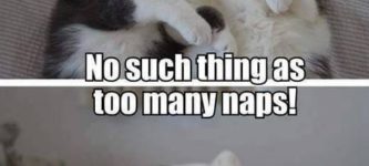 No+Such+Things+As+Too+Many+Naps