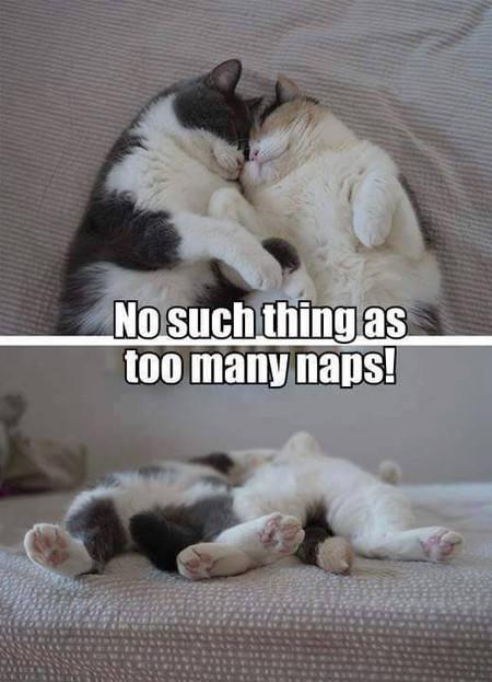 No+Such+Things+As+Too+Many+Naps