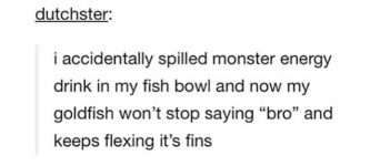 Brofish
