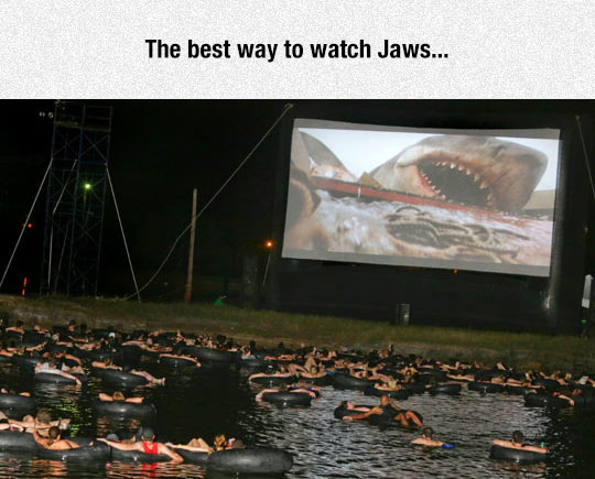 THE+best+way+to+watch+Jaws.