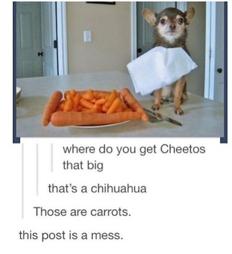 No+this+is+Patrick+%21