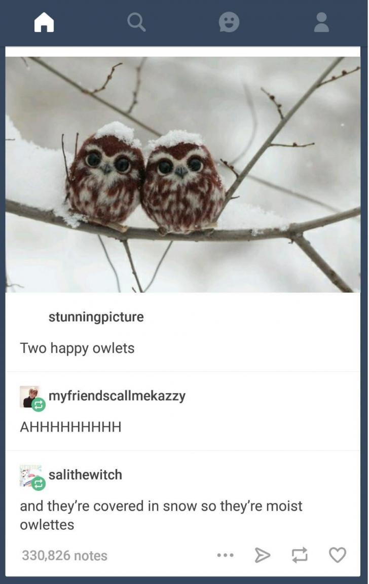 Owlettes