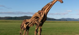 Driftwood+Giraffe