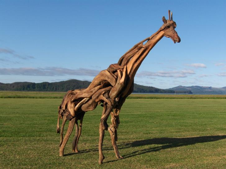 Driftwood+Giraffe