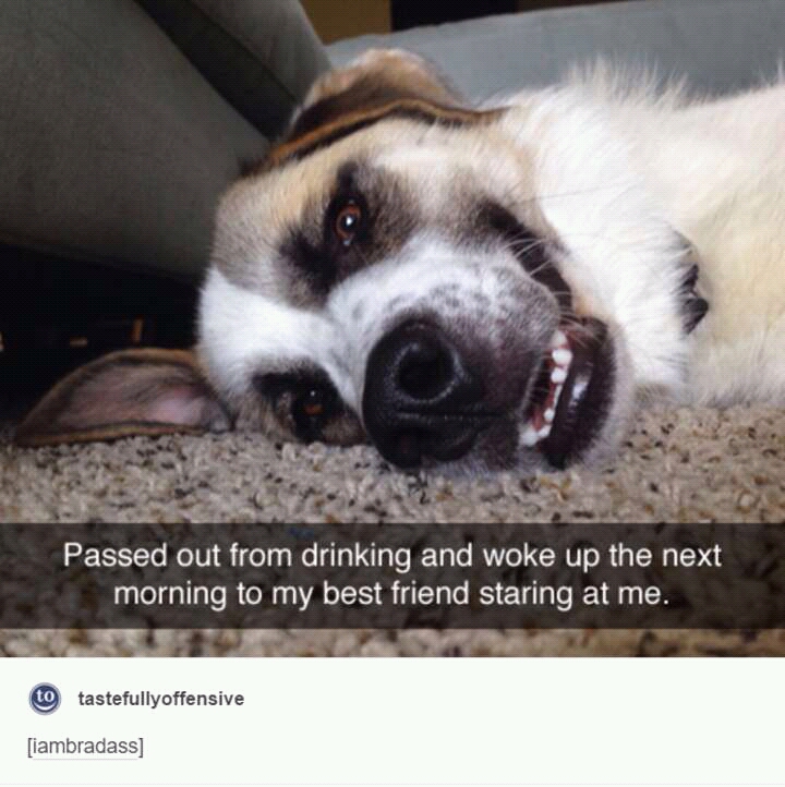 Good+morning%2C+Hooman.