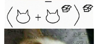 Cat+maths