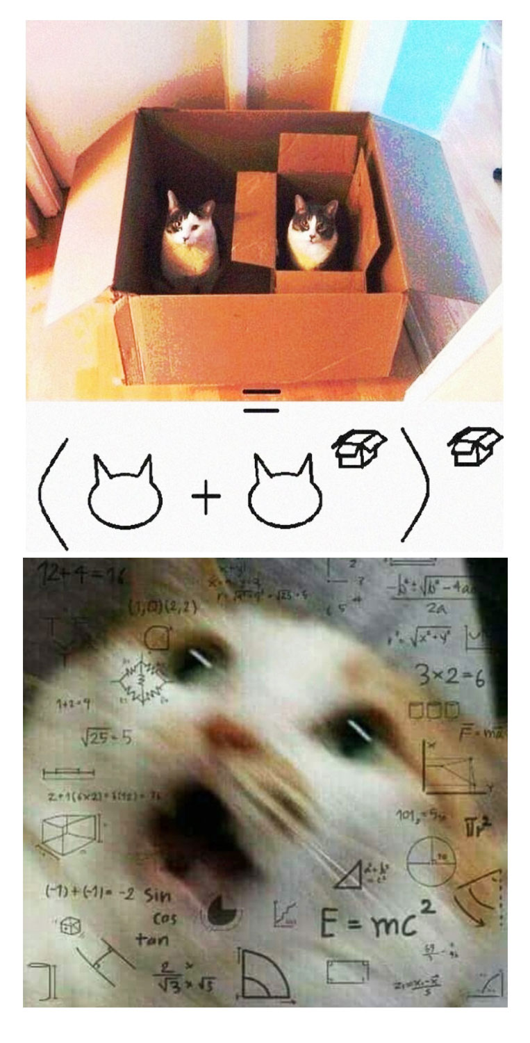 Cat+maths