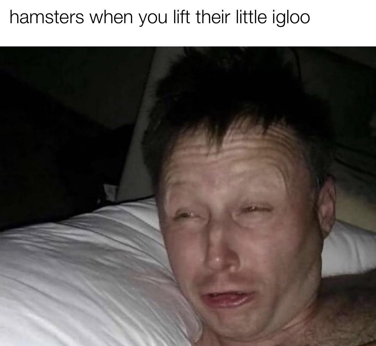 Aaaaaaahhhhhh%21%21%21%21+%F0%9F%90%B9