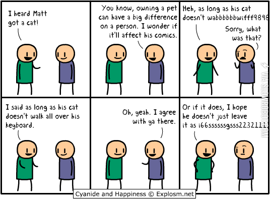 The+Problems+With+Owning+A+Cat