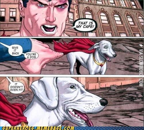 Every+Dog+wats+to+be+like+their+Owner