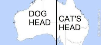 Dog%2FCat+face+in+Australia