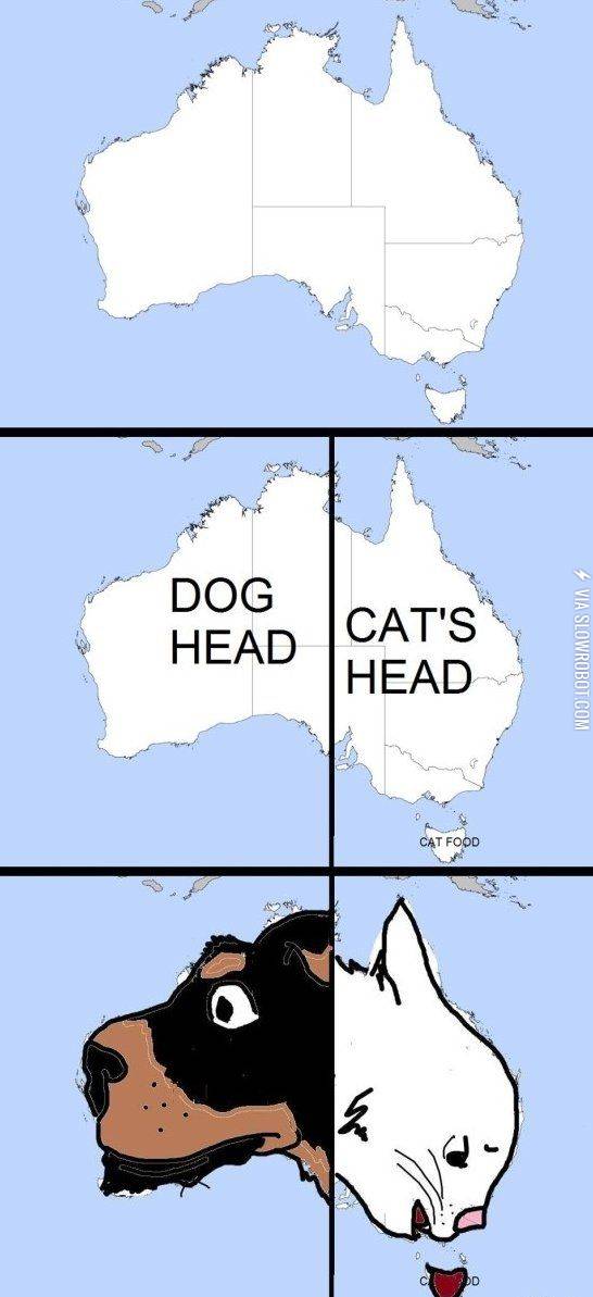 Dog%2FCat+face+in+Australia