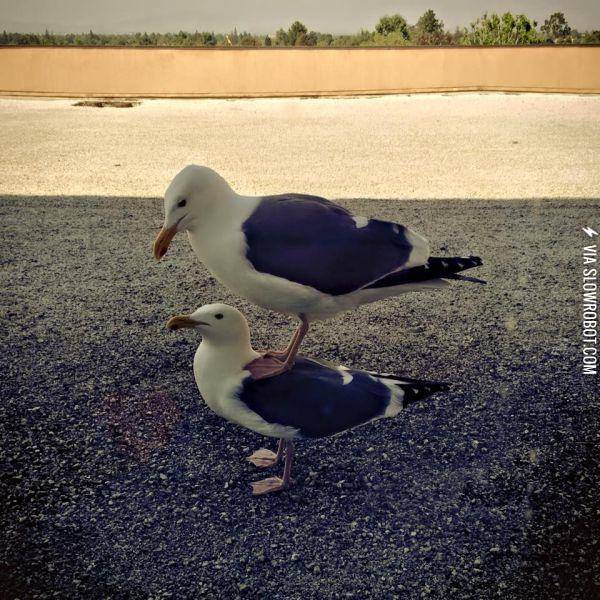 Bro%2C+give+me+a+lift