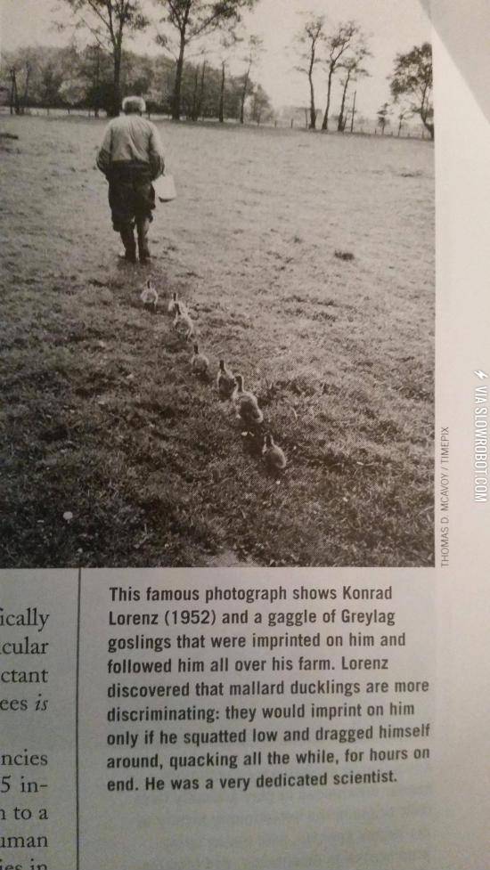 A+very+dedicated+scientist.