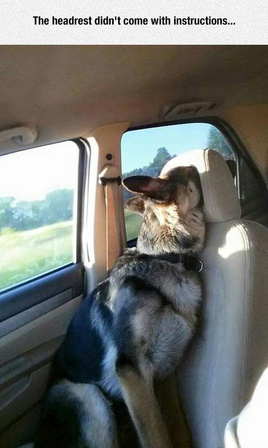 Instructions+unclear%26%238230%3B