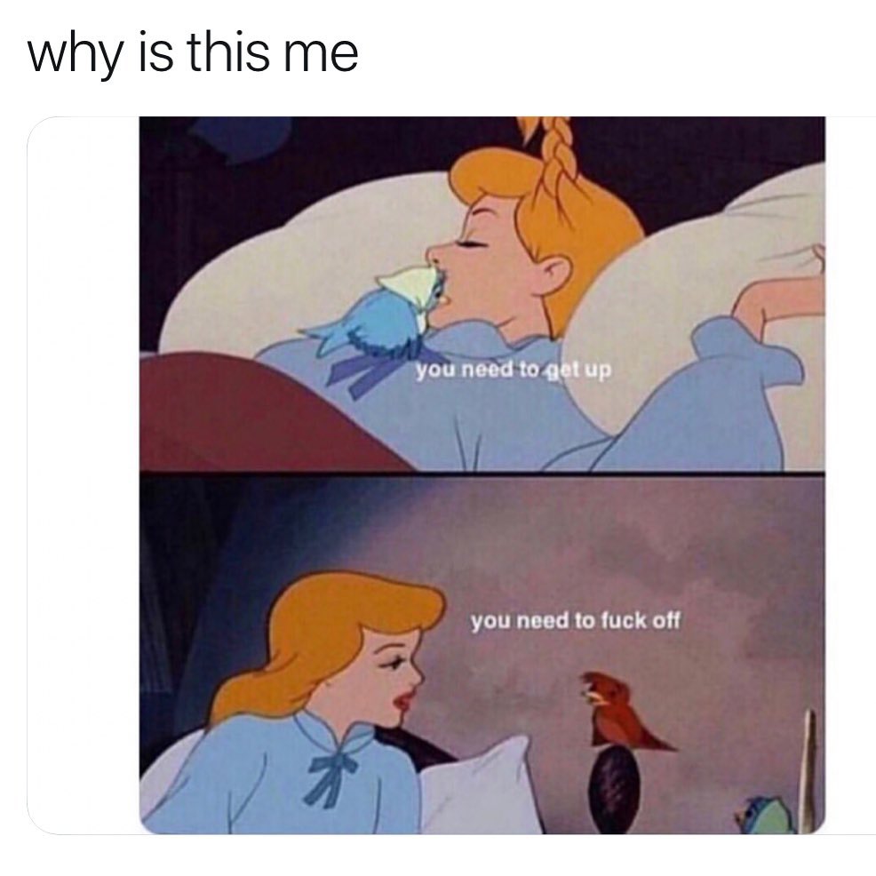 Could+you+not%2C+tiny+birb%3F