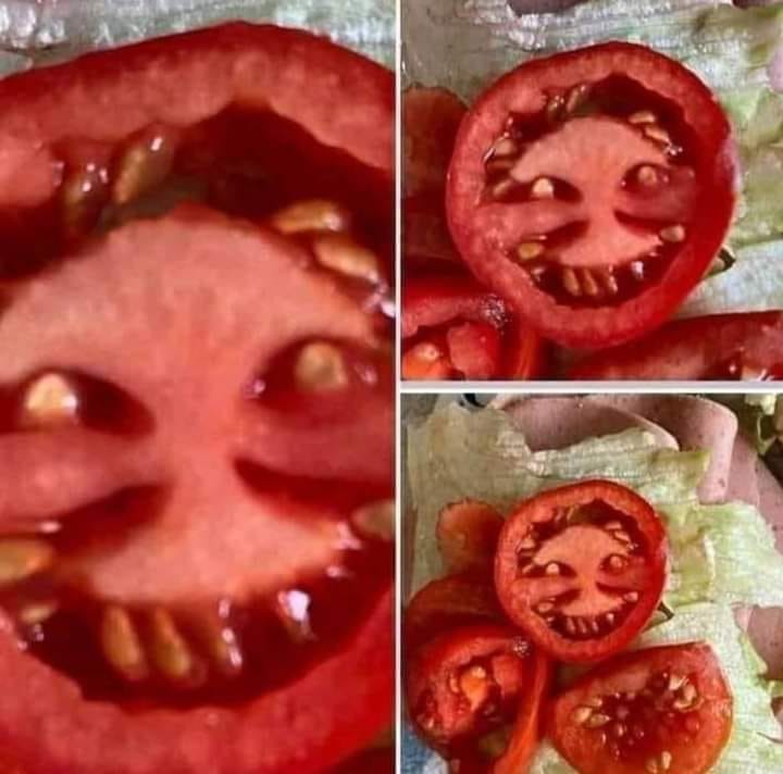 Tomatoes+are+demons%2C+demonstrably.