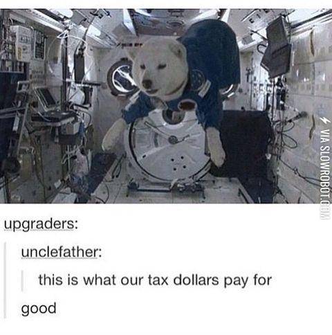 It%26%23039%3Bs+worth+it