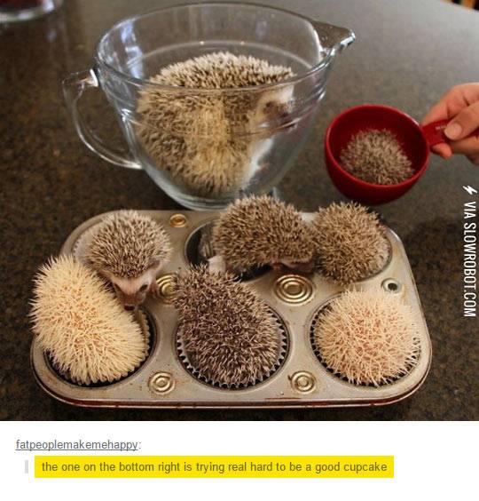 They%26%238217%3Bre+Trying